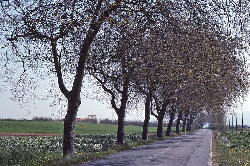 WT 2200 303-23 Portugal.jpg